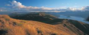 Lake Wanaka