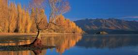 Lake Wanaka