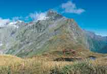 Milford Track
