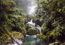 Milford Track