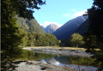 Milford Track