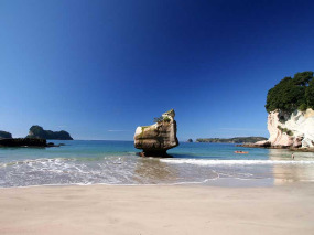 Nouvelle-Zélande - Péninsule de Coromandel