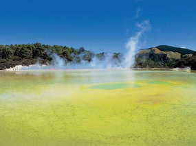 Nouvelle-Zélande - Rotorua - Découverte de la culture Maorie et de la géothermie à Rotorua