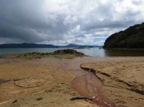 Nouvelle-zélande - Stewart island - Ulva Island © Ruggedy Ranges