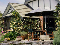 Nouvelle-Zlande - Invercargill - Tudor Park Country Stay