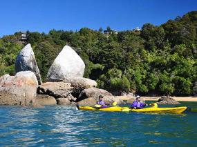 Nouvelle-Zélande - Abel Tasman National Park - Kayak à la rencontre des phoques et marche dans la forêt ou plage