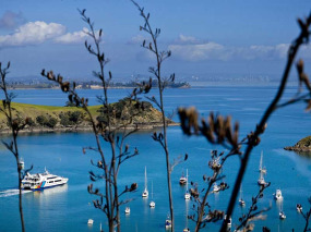 Nouvelle-Zélande - Auckland - Visite guidée et en liberté de l'île de Waiheke © Tourism New Zealand, Adrian Malloch