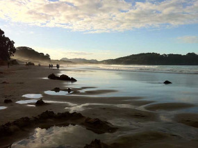 Nouvelle-Zélande - Péninsule de Coromandel