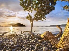 Nouvelle-Zélande - Péninsule de Coromandel