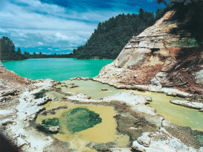 Nouvelle-Zélande - Rotorua - Entrée au parc de Wai O Tapu à Rotorua