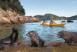 Nouvelle-Zlande - Abel Tasman National Park - Abel Tasman en kayak - merveilles naturelles