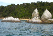 Nouvelle-Zélande - Abel Tasman National Park © Nelson Tasman Tourism