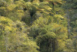 Nouvelle-Zélande - Abel Tasman National Park - Kayak et randonnée guidée dans le Parc national d'Abel Tasman