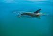 Nouvelle-Zélande - Abel Tasman National Park - Kayak et randonnée guidée dans le Parc national d'Abel Tasman