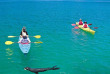 Nouvelle-Zélande - Abel Tasman National Park - Kayak à la rencontre des phoques et marche dans la forêt ou plage