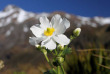 Nouvelle-Zélande - Arthur Pass - Wilderness Lodge Arthurs Pass