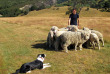 Nouvelle-Zélande - Arthur Pass - Wilderness Lodge Arthurs Pass - Farm