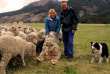 Nouvelle-Zélande - Arthur Pass - Wilderness Lodge Arthurs Pass - Farm