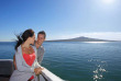 Nouvelle-Zélande - Auckland - Vignobles et oliviers de l'île de Waiheke © Tourism New Zealand, Chris McLennan