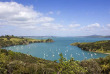 Nouvelle-Zélande - Auckland - Vignobles et oliviers de l'île de Waiheke © Tourism New Zealand, Kelly Irving