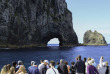 Nouvelle-Zélande - Bay of Islands - Explore Group, Discover the bay