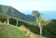 Nouvelle-Zélande - Coromandel - Découverte du Nord sauvage et de Port Jackson © Destination Coromandel