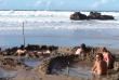 Nouvelle-Zélande - Séjour découverte de Coromandel au Aotearoa Lodge - Hot Water Beach