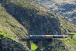 Nouvelle-Zélande - Dunedin - Taieri Gorge railway © DunedinNZ