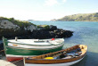 Nouvelle-Zélande - Dunedin - Croisière Monarch Cruises dans le port d'Otago et Observation de la faune marine © DunedinNZ