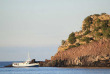 Nouvelle-Zélande - Dunedin - Croisière Monarch Cruises - Observation de la faune marine