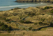 Nouvelle-Zélande - Dunedin - Journée découverte de la péninsule d'Otago