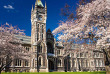 Nouvelle-Zélande - Southern Panorama - Dunedin © Tourism Dunedin