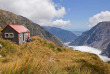 Nouvelle-Zélande - Fox Glacier - Ascension du Chancellor Dome, exploration du glacier de Fox, faune et flore du Chancellor Shelf © Fox Glacier Guiding