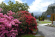 Nouvelle-Zélande - Fox Glacier - High Peaks Hotel