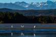 Nouvelle-Zélande - Franz Josef - Okarito Eco Boat Tours