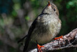 Nouvelle-Zélande - Franz Josef - Okarito Eco Boat Tours
