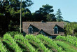 Nouvelle-Zélande - Hawkes Bay