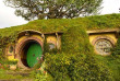 Nouvelle-Zélande - Auckland - Excursion à Hobbiton