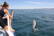Nouvelle-Zélande - Kaikoura - Nager avec les dauphins