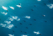 Nouvelle-Zélande - Kaikoura - Wings Over Whales