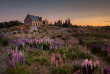 Nouvelle-Zélande - Lake Tekapo - Cheeky Kiwi Travel © Peter Hammer
