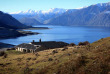 Nouvelle-Zélande - Lake Wanaka - Silverpine