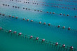 Nouvelle-Zélande - Marlborough Sounds - Le meilleur de Marlborough à terre et en mer