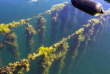 Nouvelle-Zélande - Marlborough Sounds - Croisière dans les Pelorus et Kenepuru Sounds