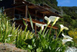 Nouvelle-Zélande - Marlborough Sounds - Bay of Many Coves Resort