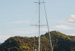 Nouvelle-Zélande - Marlborough Sounds - Croisière dans le Queen Charlotte © Marlborough Tour Company