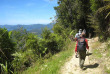 Nouvelle-Zélande - Marlborough Sounds - Randonnée guidée sur la Queen Charlotte Track en liberté
