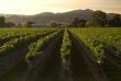 Nouvelle-Zélande - Marlborough Sounds - Le meilleur de Marlborough à terre et en mer