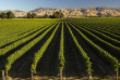 Nouvelle-Zélande - Marlborough Sounds - Le meilleur de Marlborough à terre et en mer