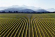 Nouvelle-Zélande - Marlborough Sounds - Le meilleur de Marlborough à terre et en mer
